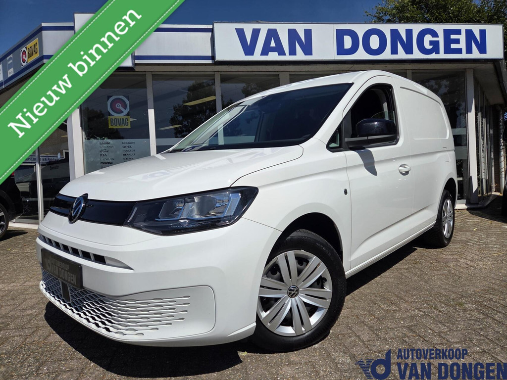 55870081