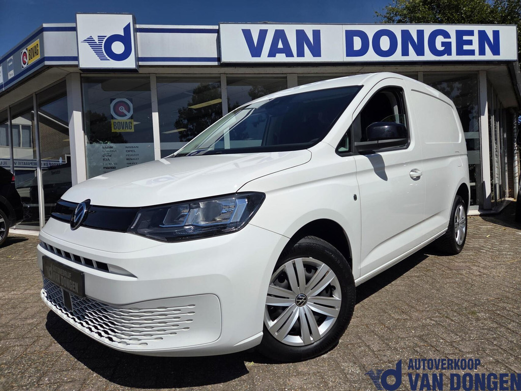 55870081